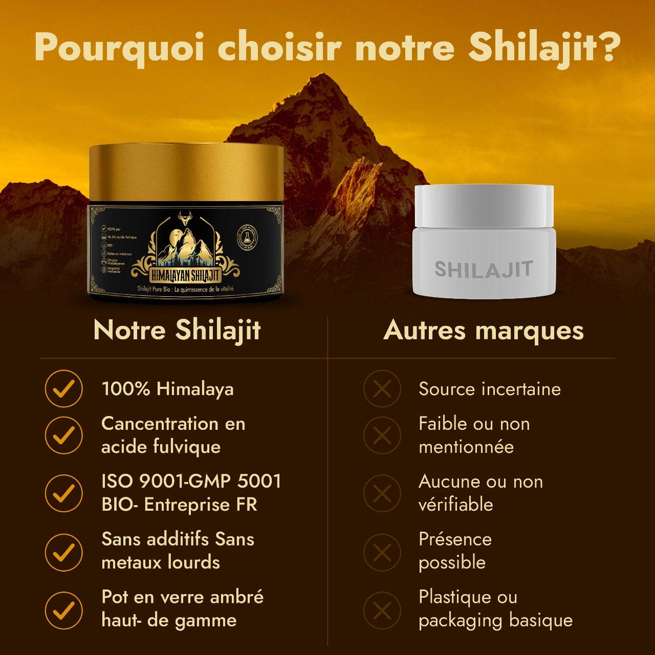 Shilajit Pur de l’Himalaya – Résine Bio Premium