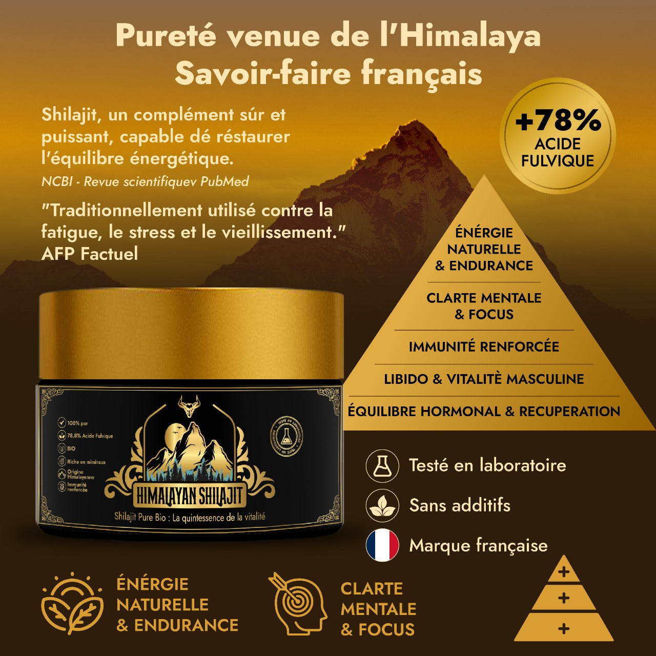 Shilajit Pur de l’Himalaya – Résine Bio Premium