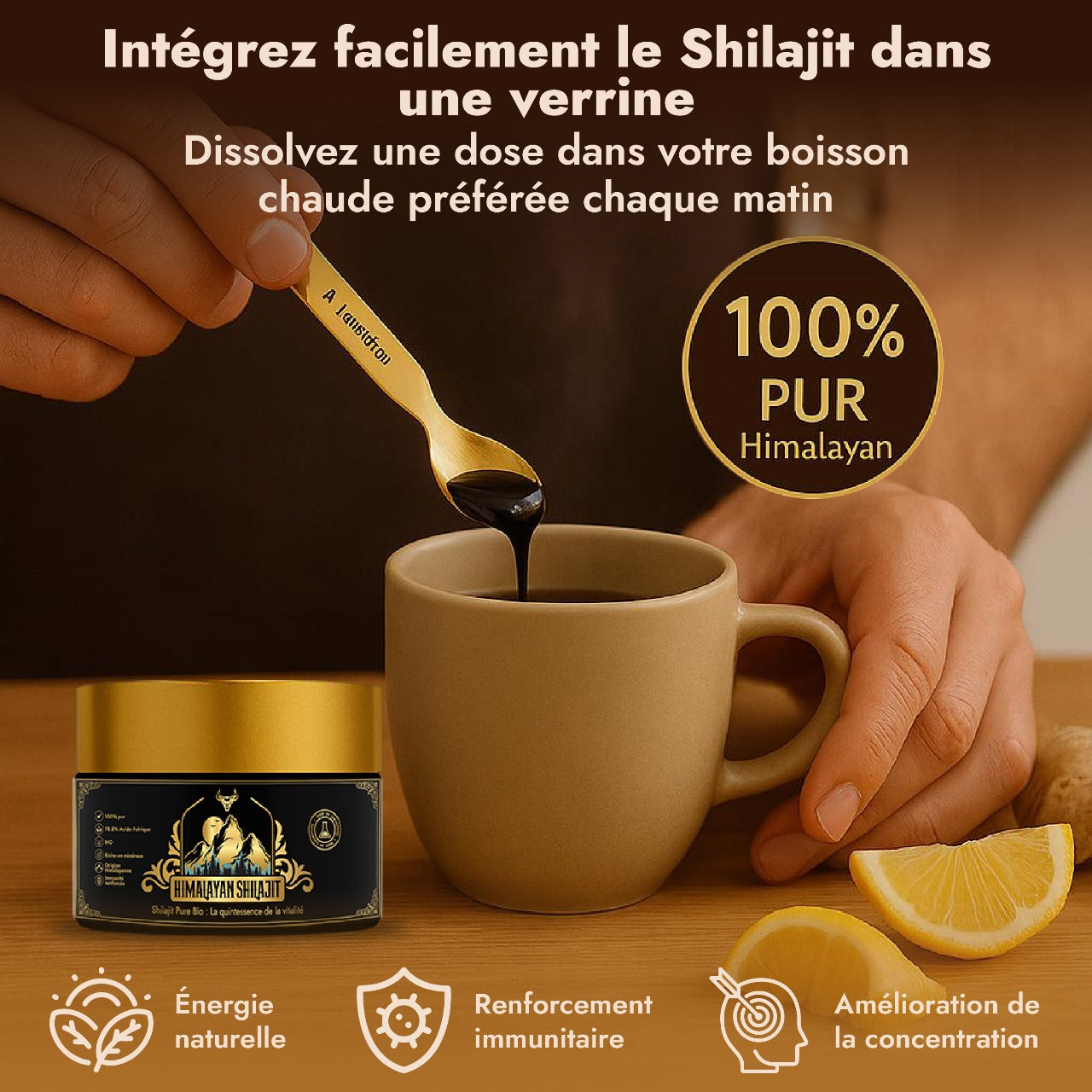 Shilajit Pur de l’Himalaya – Résine Bio Premium